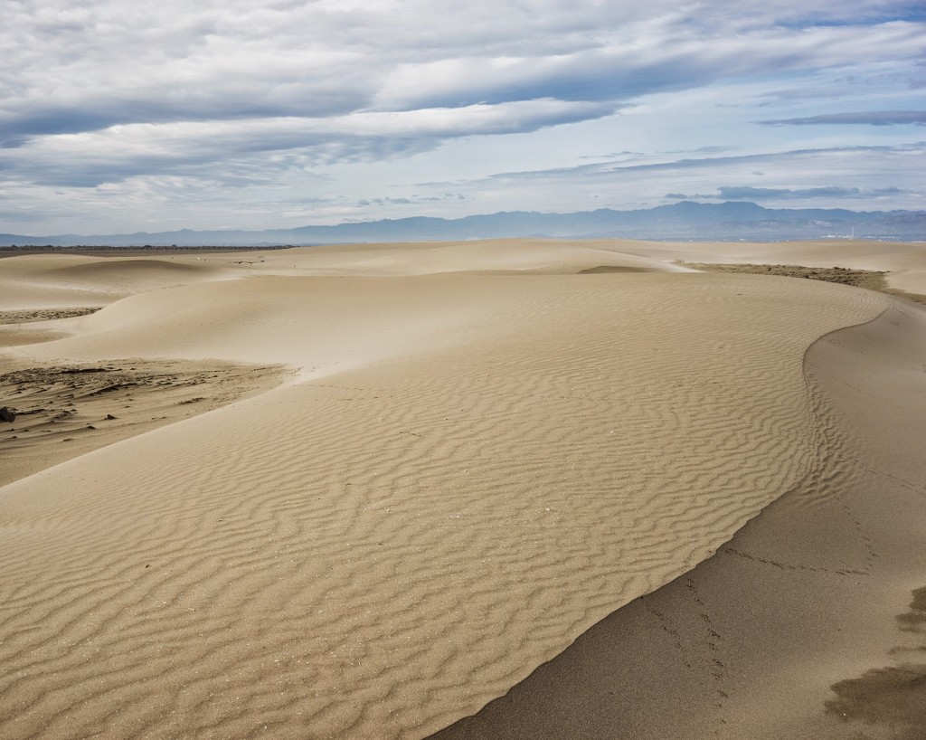 delta de l'ebre _oct 2015 3