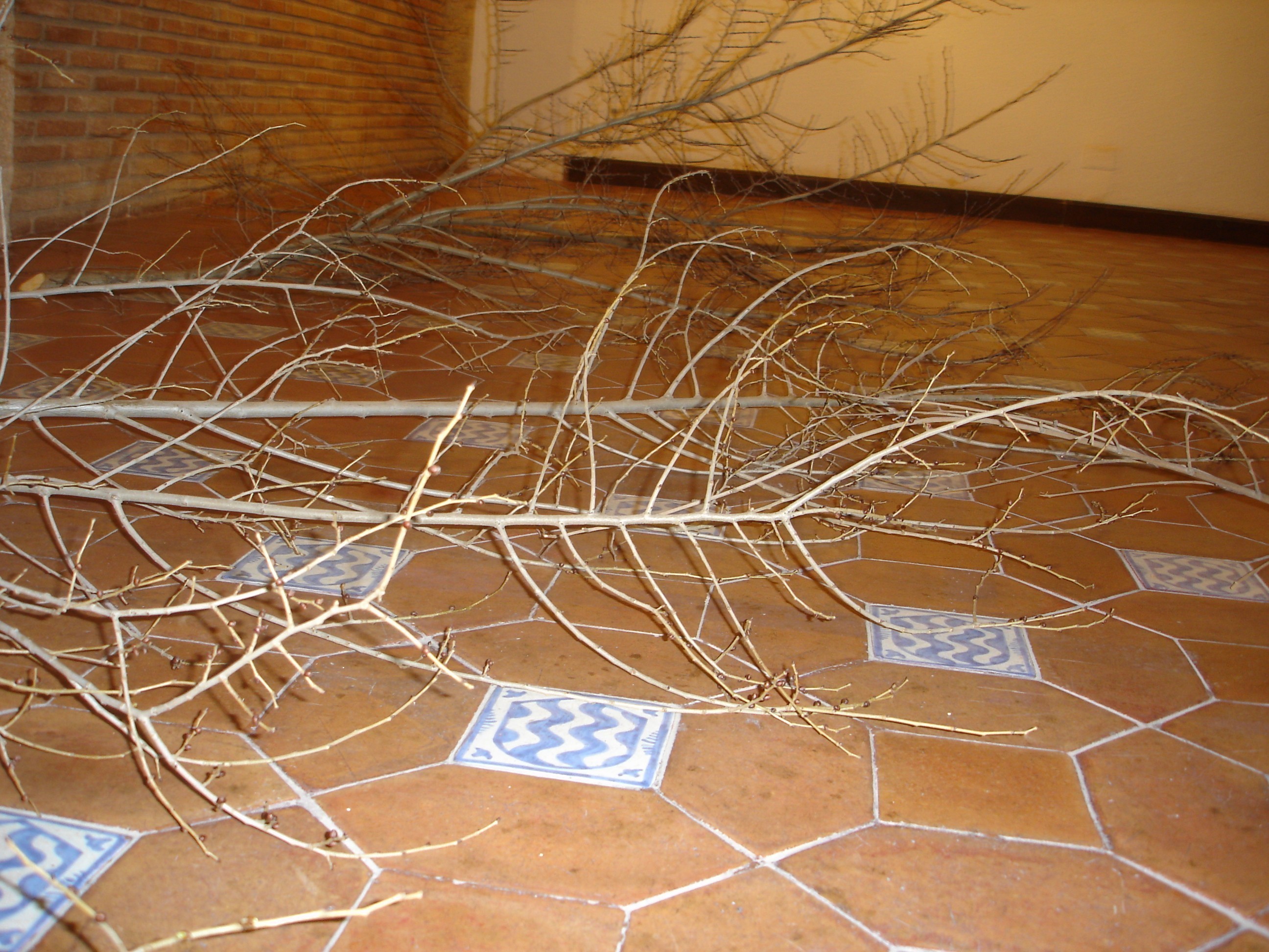 expo-macaya-9feb07-2.JPG