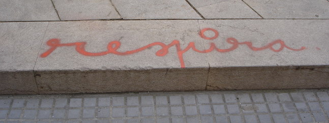 grafit_carrer-dele-carme_2.jpg